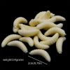 Soft Maggot Soft Fish Bait  50pcs