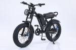 750W Mountain Electric Bicycle Outdoor With Fat Tire 20''Ebike