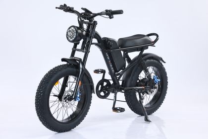 750W Mountain Electric Bicycle Outdoor With Fat Tire 20''Ebike