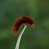 Fly Bait Luminous Streamer Flies With Luminous Eyes