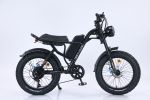 750W Mountain Electric Bicycle Outdoor With Fat Tire 20''Ebike
