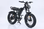 750W Mountain Electric Bicycle Outdoor With Fat Tire 20''Ebike