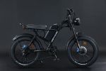 750W Mountain Electric Bicycle Outdoor With Fat Tire 20''Ebike