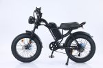 750W Mountain Electric Bicycle Outdoor With Fat Tire 20''Ebike