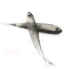 10pcs Small Gray Fish Lure Soft Bait