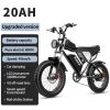 Ridstar Q20 Electric Bike 2000W