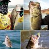 Fishing Soft bait set,  280Pcs/354Pcs   Includes Tackle Box