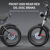 Ridstar Q20 Electric Bike 2000W